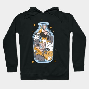 Cats in a Bottle Hoodie